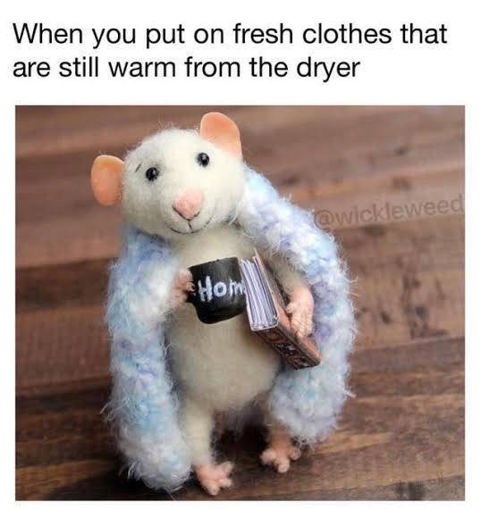 Wholesome Memes (38 pics)