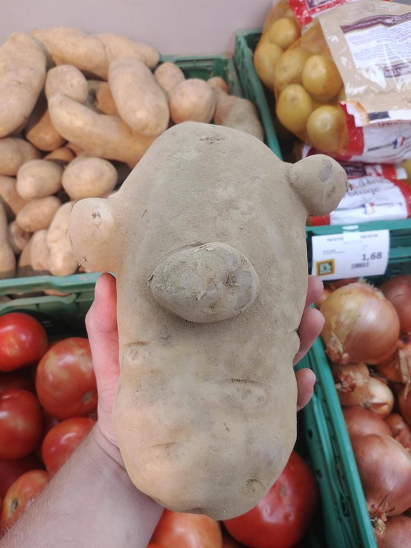 Awesome Things (24 pics)