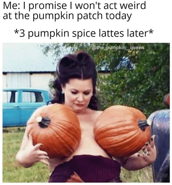 Halloween Memes (30 pics)