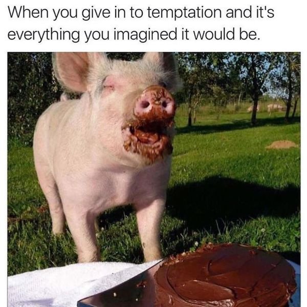 Only Women Will Understand (34 pics)