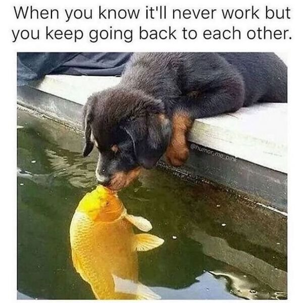 Only Women Will Understand (34 pics)