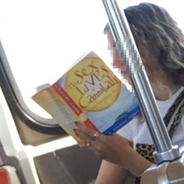 Subway Books (30 pics)