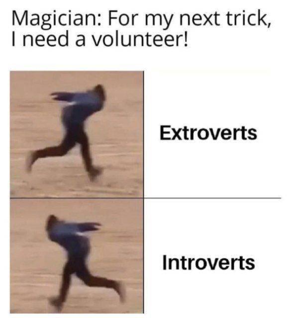 Introvert Memes (25 pics)