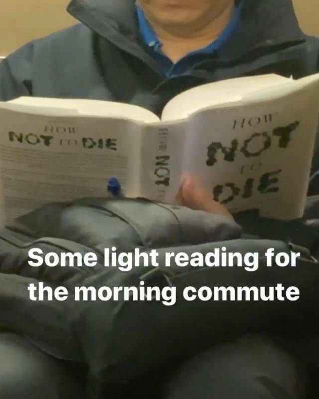 Subway Books (30 pics)