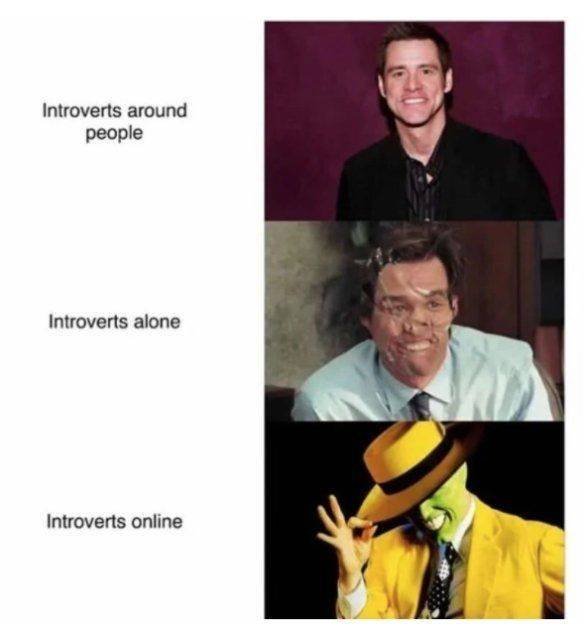 Introvert Memes (25 pics)