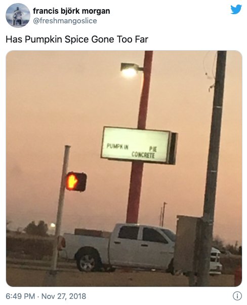Pumpkin Spice Is Everywhere (30 pics)