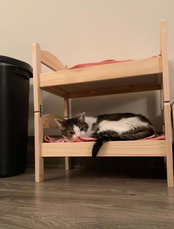 IKEA Furniture Transformations (34 pics)