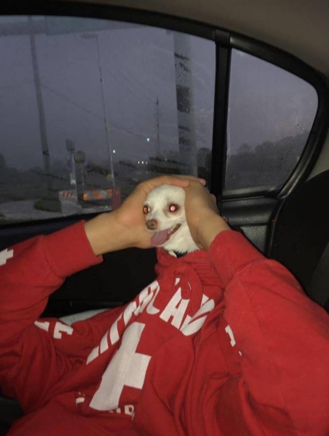 Acid Picdump. Part 1 (96 pics)
