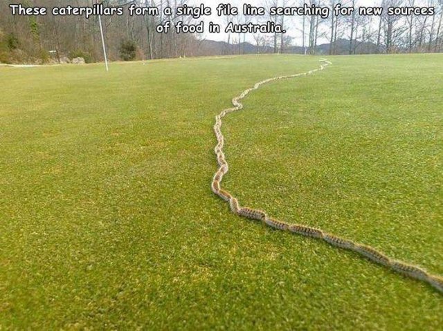 Acid Picdump. Part 1 (96 pics)