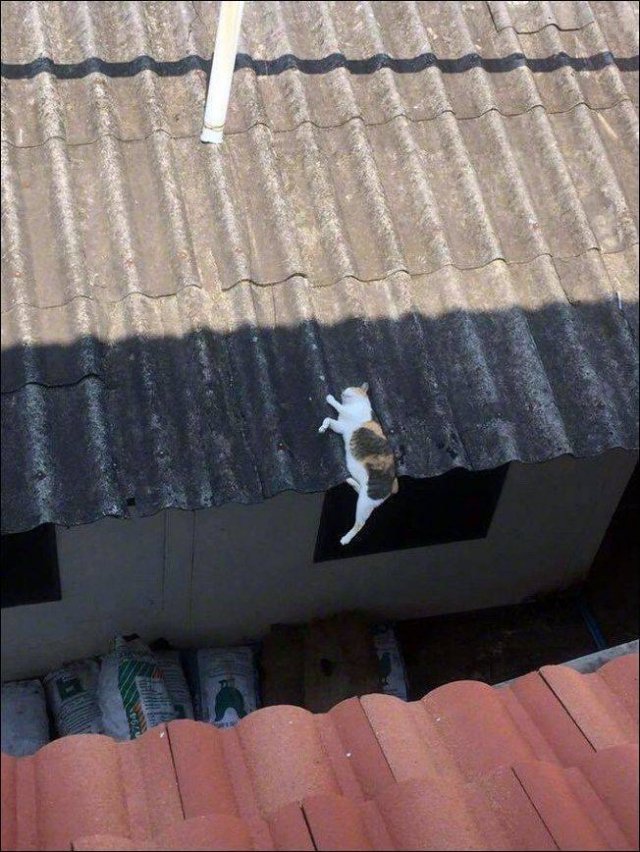 Acid Picdump. Part 2 (96 pics)