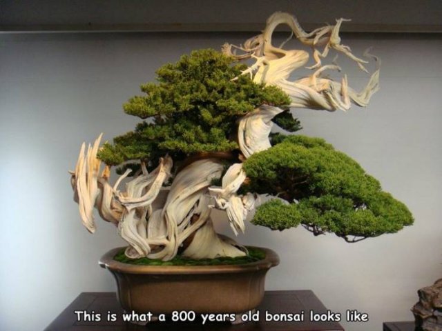 Acid Picdump. Part 1 (96 pics)
