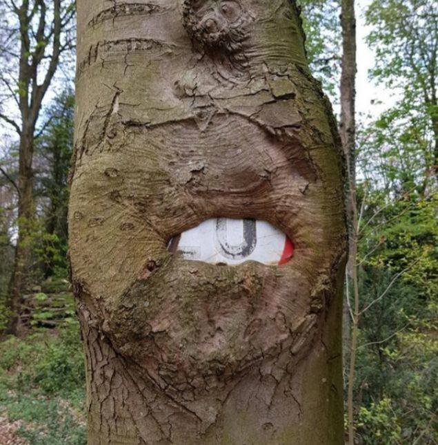 Acid Picdump. Part 1 (96 pics)