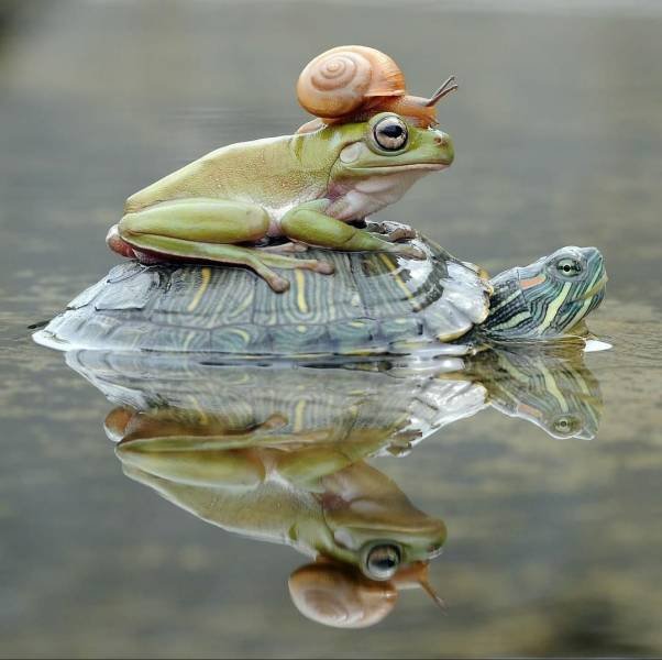 Acid Picdump. Part 1 (96 pics)