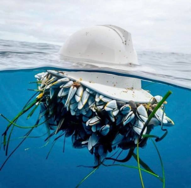The Power Of Nature (18 pics)