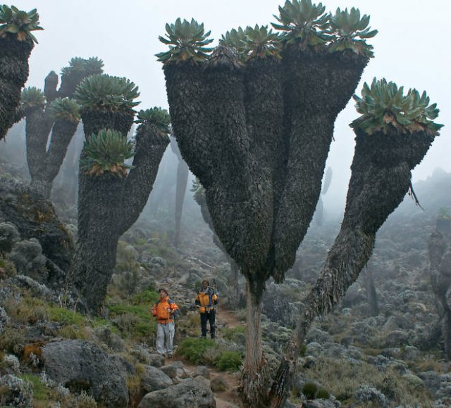 Nature Wonders (20 pics)