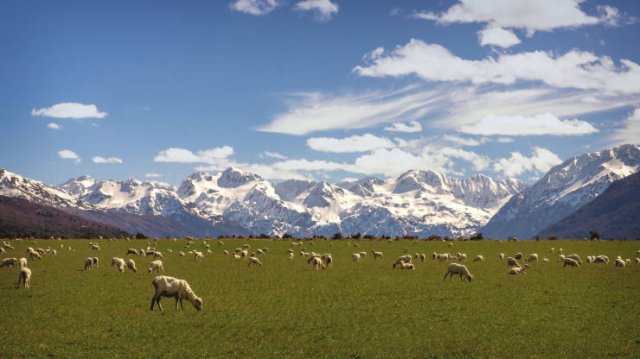 Nature Wonders (20 pics)
