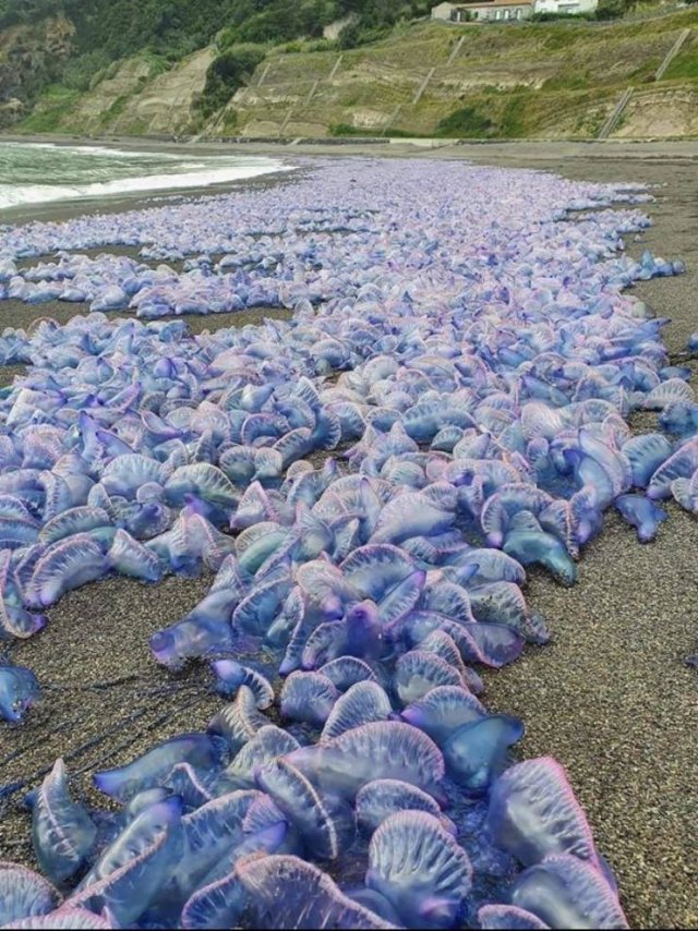 Nature Wonders (20 pics)