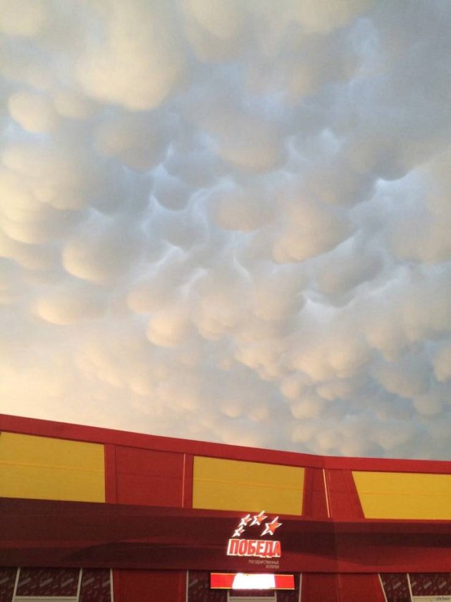 Nature Wonders (20 pics)