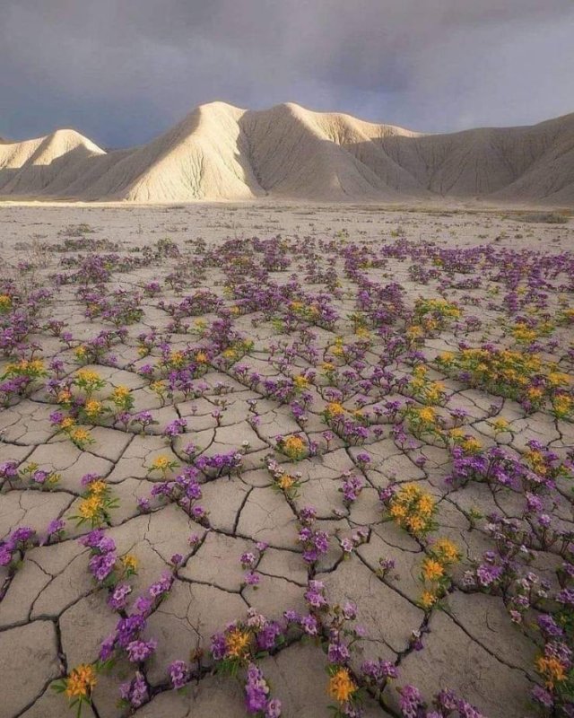 Nature Wonders (20 pics)