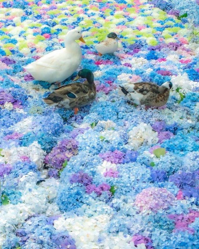 Nature Wonders (20 pics)