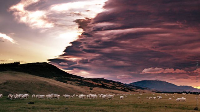 Nature Wonders (20 pics)