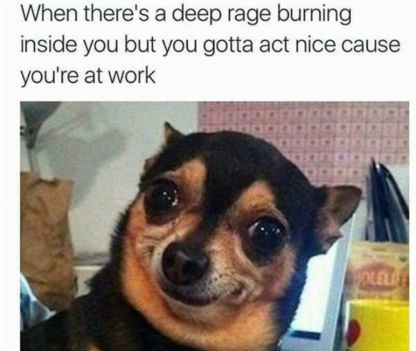 Work Memes (29 pics)