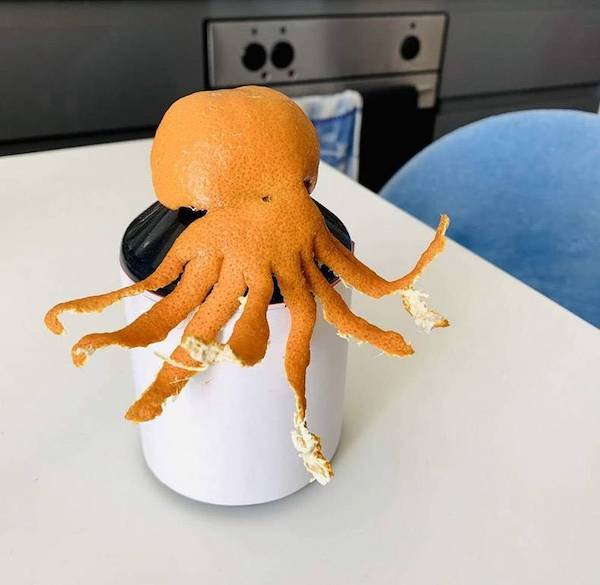When Food Become Art (35 pics)