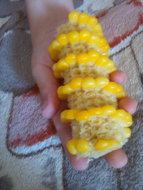 When Food Become Art (35 pics)