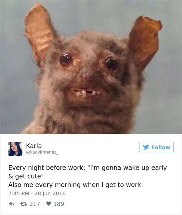 Work Memes (29 pics)