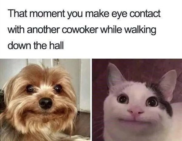 Work Memes (29 pics)