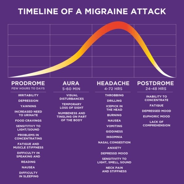 Interesting Charts (28 pics)