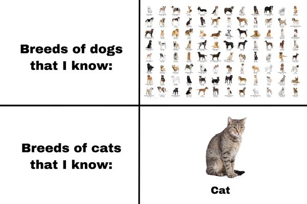Random Funny Memes (27 pics)