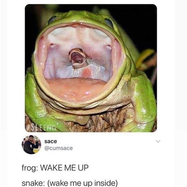 Hilarious Memes (29 pics)