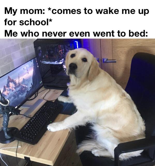 Random Funny Memes (27 pics)