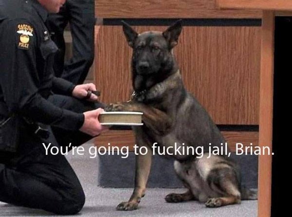 Hilarious Memes (29 pics)