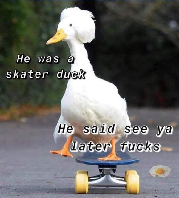 Hilarious Memes (29 pics)