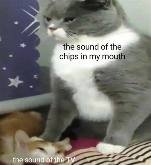 Hilarious Memes (29 pics)
