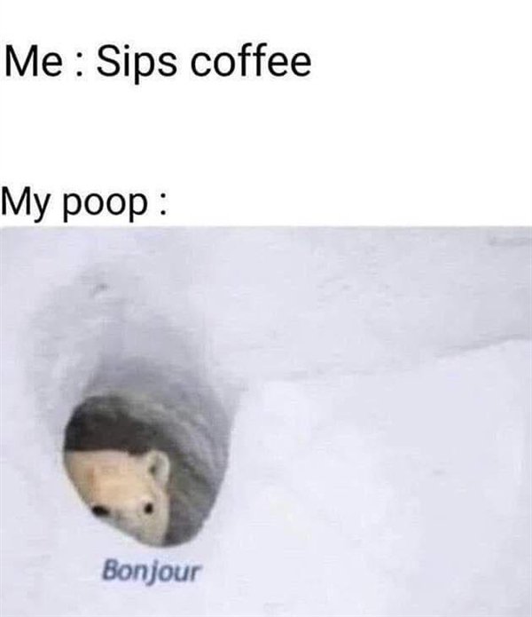 Hilarious Memes (29 pics)