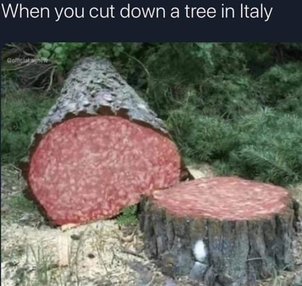 Hilarious Memes (29 pics)