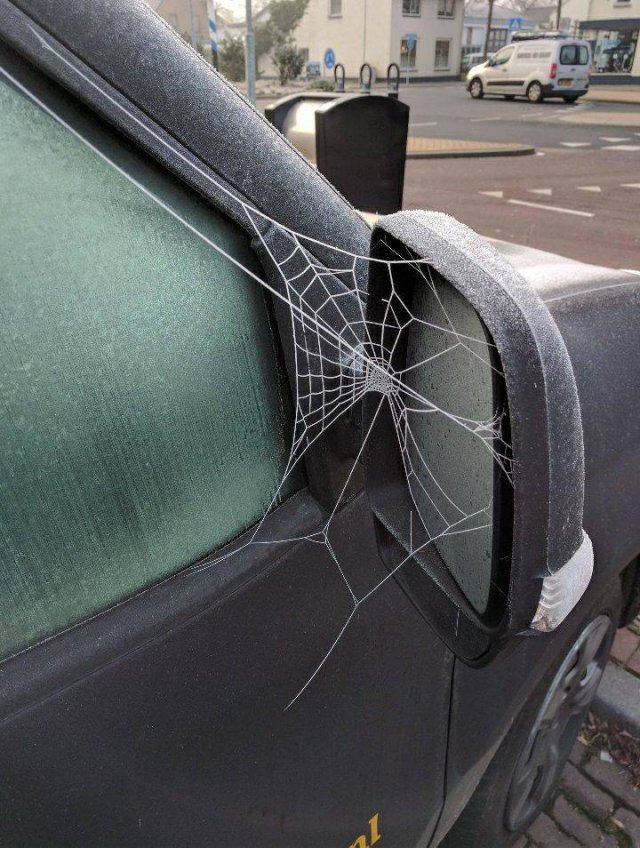 Acid Picdump. Part 1 (95 pics)