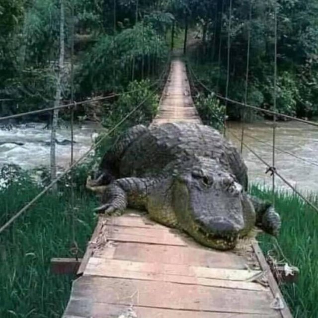 Acid Picdump. Part 1 (95 pics)