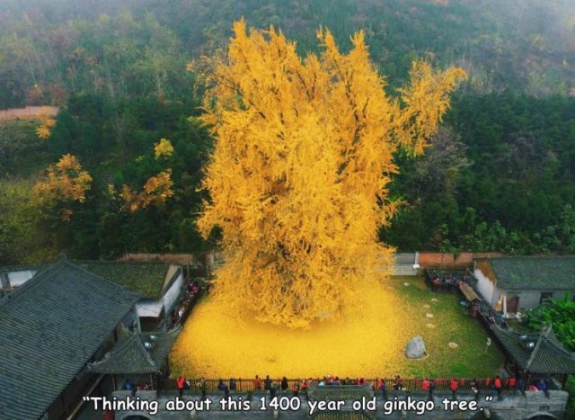 Acid Picdump. Part 1 (95 pics)