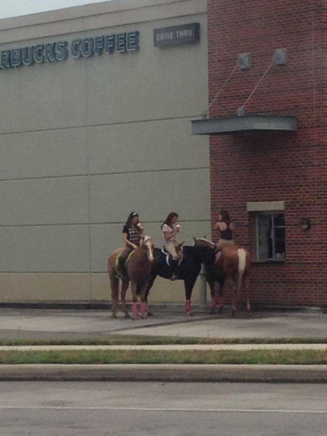 Acid Picdump. Part 1 (95 pics)