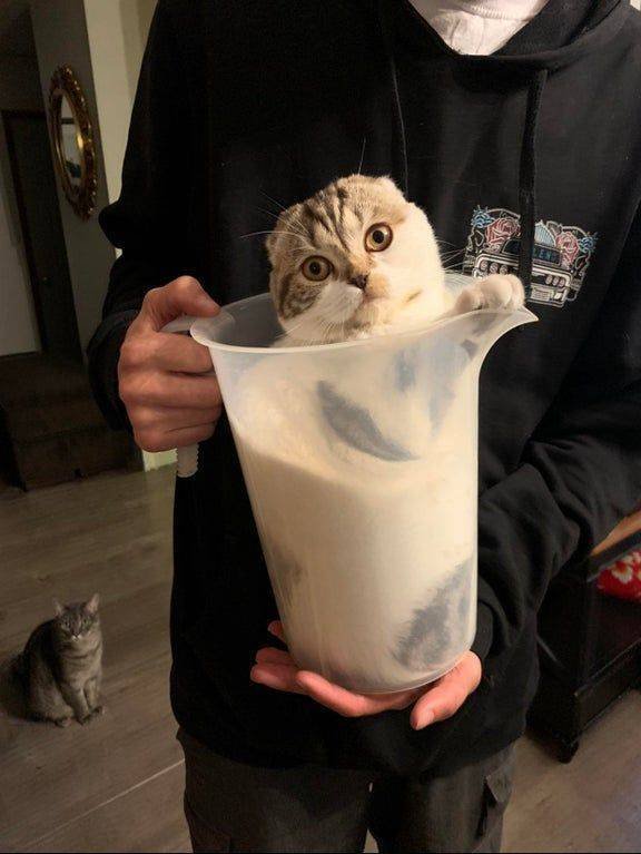 Acid Picdump. Part 1 (95 pics)