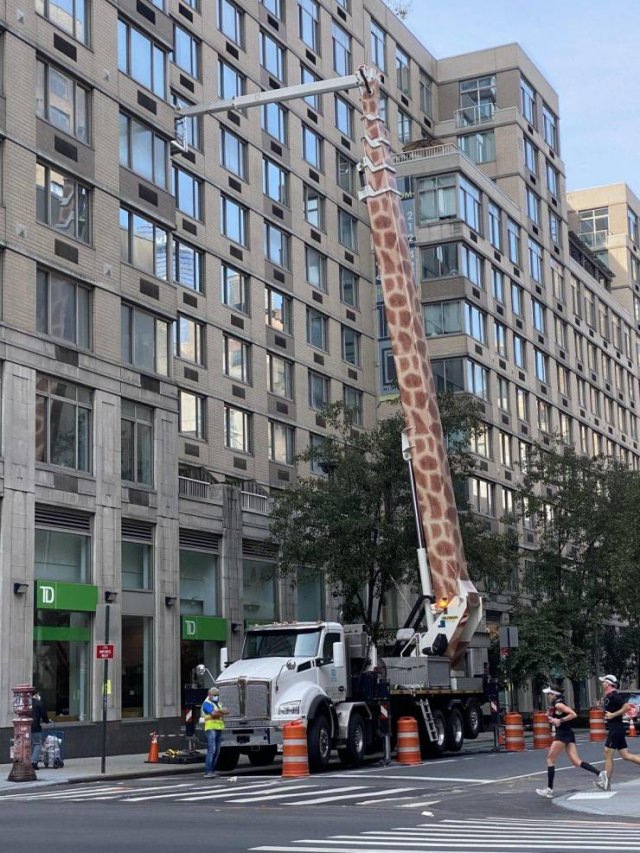 Acid Picdump. Part 1 (95 pics)