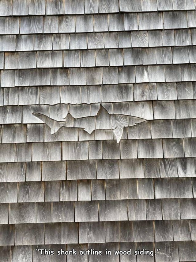 Acid Picdump. Part 1 (95 pics)