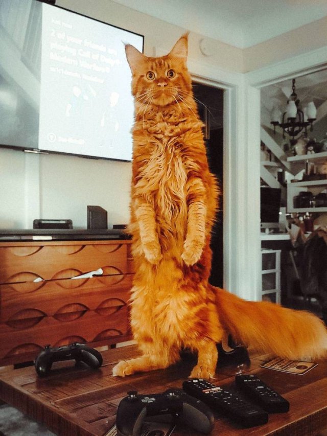 Acid Picdump. Part 1 (95 pics)