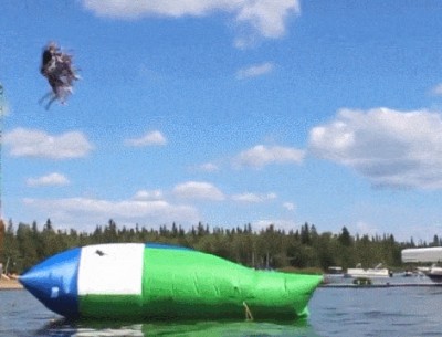 Acid Gifdump, October 12 (25 gifs)