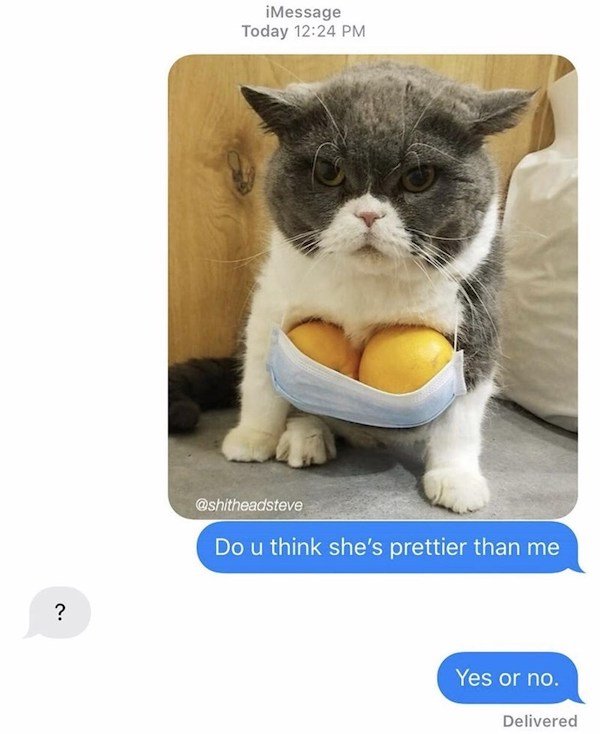 Dirty Humor (36 pics)