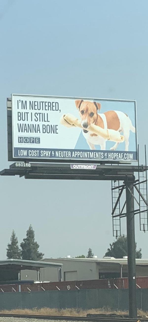 Dirty Humor (36 pics)